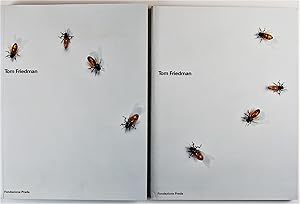 Immagine del venditore per Tom Friedman Fondazione Prada Milan 25 October - 15 December 2002 venduto da Gotcha By The Books