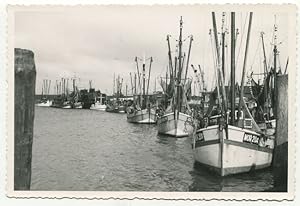 Image du vendeur pour Foto: Hafen mit Fischkuttern - Norddeich. mis en vente par Antiquariat Ralf Rindle