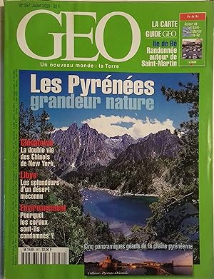 Géo N° 257. Les Pyrénées grandeur nature, Chinois de New-York, Lybie, Carte-guide de l'île de Ré...