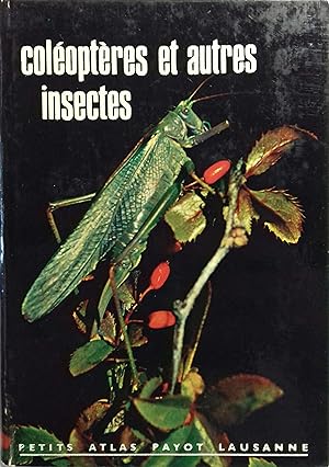 Coléoptères et autres insectes. Vers 1980.