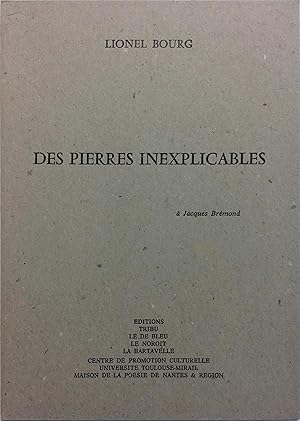 Imagen del vendedor de Des pierres inexplicables. a la venta por Librairie Et Ctera (et caetera) - Sophie Rosire