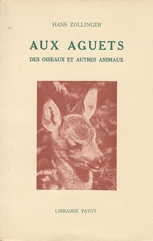 Aux aguets des oiseaux et autres animaux