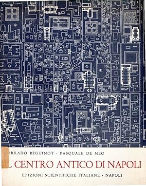 Il Centro Antico di Napoli. Documenti e Proposte.I