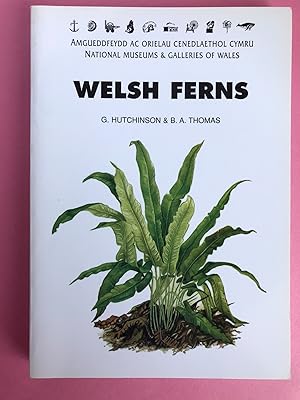 Seller image for Welsh Ferns for sale by LOE BOOKS