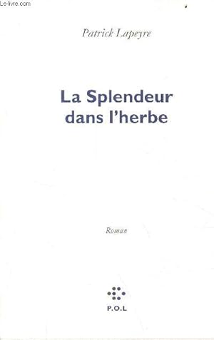 Bild des Verkufers fr La splendeur dans l'herbe - Roman. zum Verkauf von Le-Livre