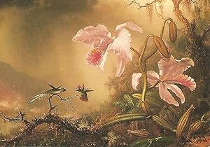 Immagine del venditore per Postal 50806: MARTIN JOHNSON HEADE - Hummingbirds and Orchids venduto da EL BOLETIN