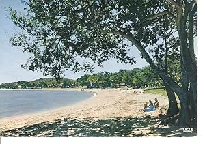 Seller image for Postal 042531 : Beach of Vata Bay for sale by EL BOLETIN
