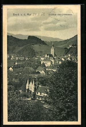 Ansichtskarte Bruck a. d. Mur, Teilansicht, Schloss Klein-Lichtenstein