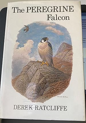 The Peregrine Falcon