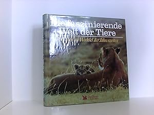 Seller image for Die faszinierende Welt der Tiere. ihr Leben im Wechsel der Jahreszeiten for sale by Book Broker