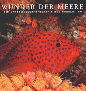 Bild des Verkufers fr Wunder der Meere die Unterwasserfotografie des Norbert Wu zum Verkauf von Antiquariat Buchhandel Daniel Viertel