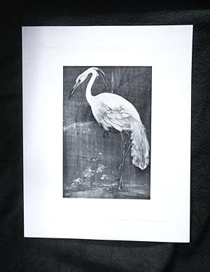 Bild des Verkufers fr A Book of Birds [Fine Art Print --"The White Heron"] zum Verkauf von My November Guest Books