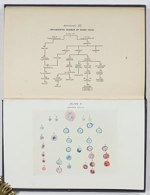 Immagine del venditore per Blood Pictures : An Introduction to Clinical Haematology. venduto da Antiq. F.-D. Shn - Medicusbooks.Com