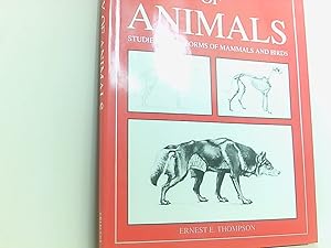Seller image for Anatomy of Animals for sale by Book Broker