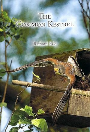 The Common Kestrel.