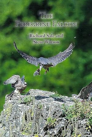 The Peregrine Falcon.