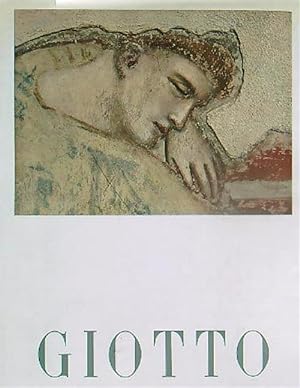 Bild des Verkufers fr Giotto zum Verkauf von Librodifaccia