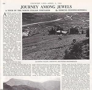 Seller image for A Tour of the North Italian Vineyards. Several pictures and accompanying text, removed from an original issue of Country Life Magazine, 1984. for sale by Cosmo Books