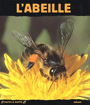 L'abeille - Paul Starosta