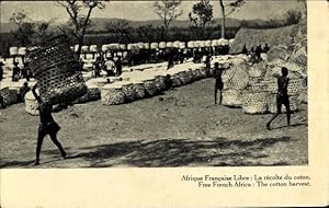 Ansichtskarte / Postkarte Französisch-Kongo, Afrique Francaise Libre, Baumwollernte