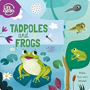 Imagen del vendedor de Tadpoles and Frogs: Make Your Own Model! (Life Cycles) a la venta por Reliant Bookstore