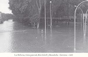 Seller image for Postal 62169 : Gerona. Rio Guell. La Dehesa y la Rosaleda. Inundacion for sale by EL BOLETIN