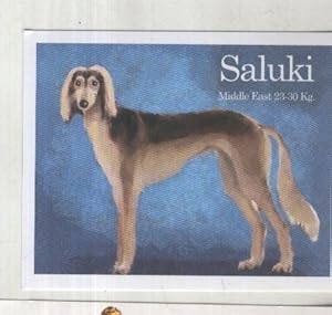 Imagen del vendedor de Cromo: Album Imaginarium numero 01: Saluki a la venta por EL BOLETIN