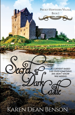 Seller image for Secret at Dark Castle (Paperback or Softback) for sale by BargainBookStores