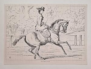 Park Canter (1878 Ladies Riding Side Saddle Engraving)