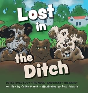 Imagen del vendedor de Lost in the Ditch (Hardback or Cased Book) a la venta por BargainBookStores