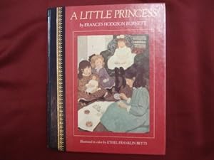 Immagine del venditore per Little Princess: Being the Whole Story of Sara Crewe Now Told for the First Time venduto da WeBuyBooks