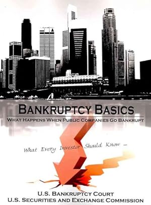 Seller image for Bankruptcy Basics for sale by GreatBookPricesUK