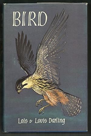 Seller image for Bird for sale by WeBuyBooks