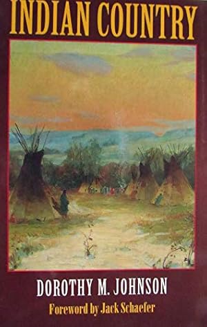 Bild des Verkufers fr Indian Country zum Verkauf von WeBuyBooks