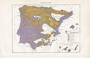 Immagine del venditore per LAMINA ESPASA 10068: Mapa de Espaa forestal venduto da EL BOLETIN