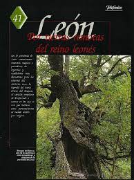 Image du vendeur pour LEON. Por tierras remotas del reino leons. mis en vente par Libros Tobal