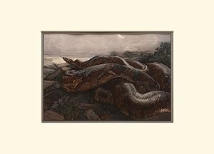 Seller image for Kaa The Python. From The Jungle Book by Rudyard Kipling. for sale by Peter Harrington.  ABA/ ILAB.