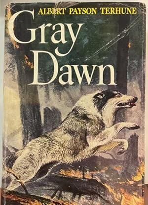 Immagine del venditore per GRAY DAWN venduto da Riverow Bookshop