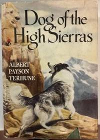 DOG OF THE HIGH SIERRAS