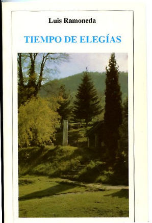 Imagen del vendedor de TIEMPO DE ELEGIAS. a la venta por Libros Ambig