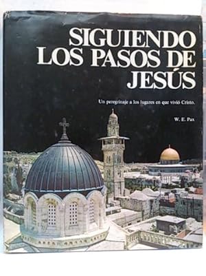 Imagen del vendedor de SIGUIENDO LOS PASOS DE JESUS. UN PEREGRINAJE A LOS LUGARES EN QUE VIVIO CRISTO. a la venta por Libros Ambig