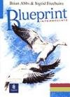 Seller image for Blueprint Intermediate Test Book for sale by WeBuyBooks