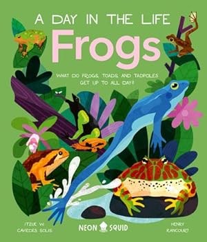 Bild des Verkufers fr Frogs (a Day in the Life): What Do Frogs, Toads, and Tadpoles Get Up to All Day? zum Verkauf von AHA-BUCH GmbH
