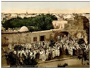 Tunis, Charmeur et peuple