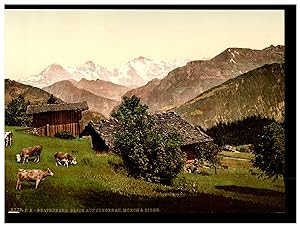 Schweiz, Berner Oberland, Thunersee, Beatenberg, Blick auf Jungfrau, Mönch und Eiger