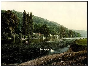 Cliveden Woods, from Ferry (London & Suburbs)