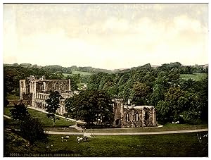 England, Furness Abbey, General View