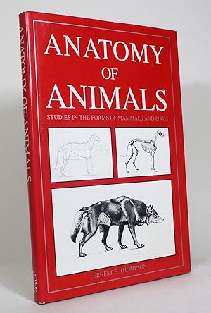 Seller image for Anatomy of Animals: Being a Brief Analysis of the Visible Forms of the More Familiar Mammals and Birds. Designed for the Use of Sculptors, Painters, Illustrators, Naturalists, and Taxidermists for sale by Minotavros Books,    ABAC    ILAB