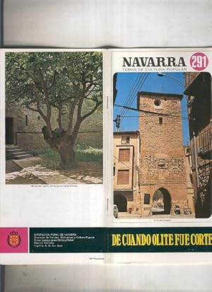 Image du vendeur pour Navarra temas de cultura popular numero 291: De cuando Olite fue corte mis en vente par El Boletin