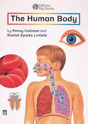 Bild des Verkufers fr The Human Body Key Stage 2 (PELICAN BIG BOOKS) zum Verkauf von WeBuyBooks